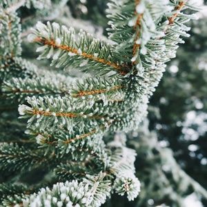 Meet your Posher, Lakeisha